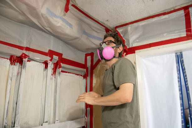 Best Black Mold Removal  in Steelton, PA